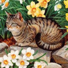 Схема вышивки «Серия КОШКИ. Живопись.»