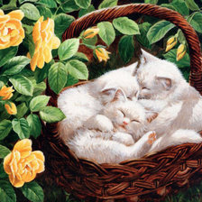 Схема вышивки «Серия КОШКИ. Живопись.»