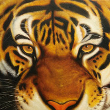 Схема вышивки «Серия "Большие кошки"»