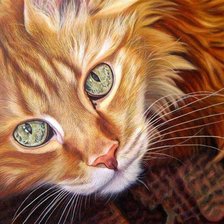 Схема вышивки «Серия КОШКИ. Живопись.»