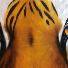 Схема вышивки «Серия "Большие кошки"»