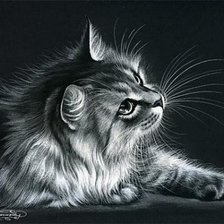 Схема вышивки «Серия КОШКИ. Живопись.»