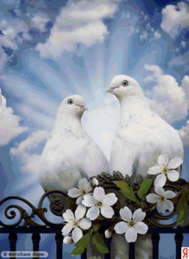 49 - предпросмотр