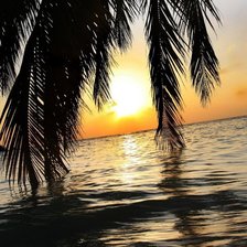 Схема вышивки «№85342»