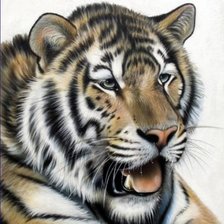 Схема вышивки «Серия "Большие кошки"»