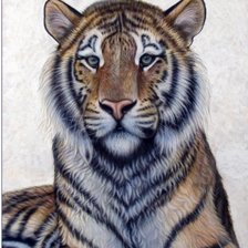 Схема вышивки «Серия "Большие кошки"»