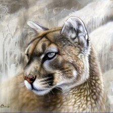 Схема вышивки «Серия "Большие кошки"»