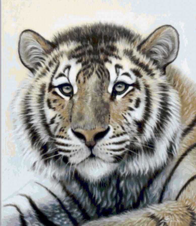 Серия "Большие кошки" - кошки, тигры, животные - предпросмотр