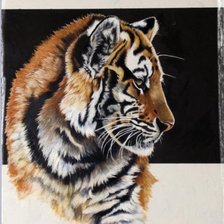 Схема вышивки «Серия "Большие кошки"»