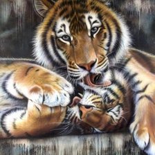 Схема вышивки «Серия "Большие кошки"»