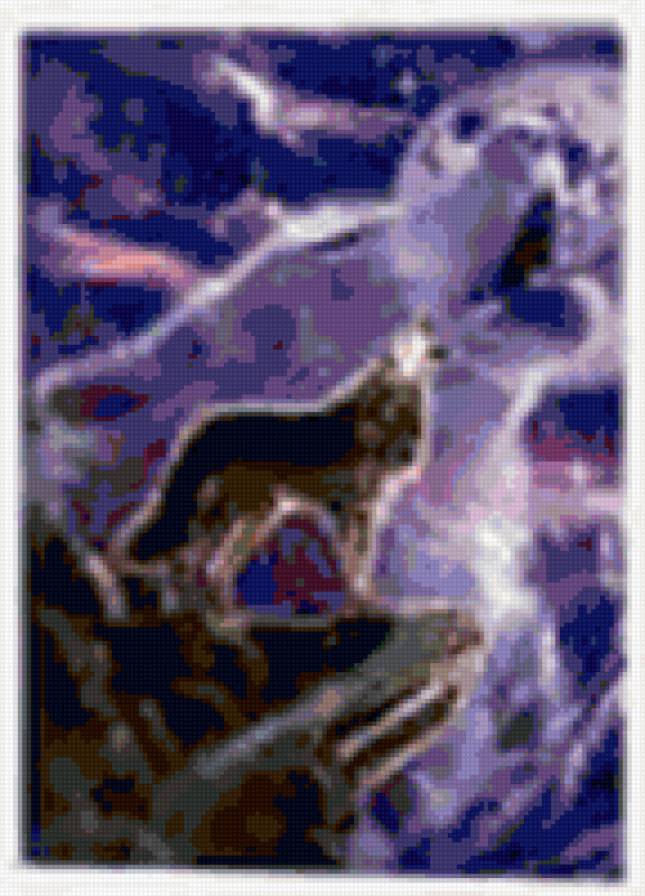 Волк - волки, волк, ночь, животные - предпросмотр