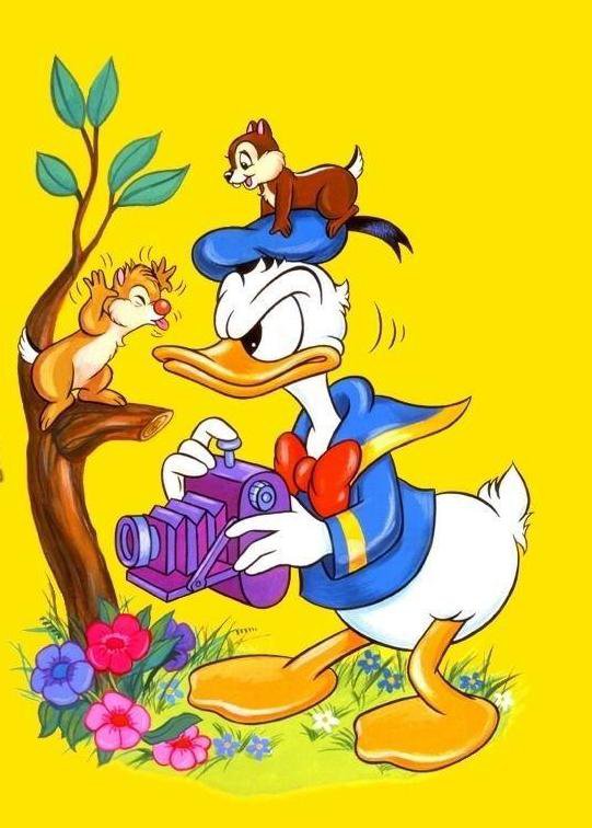 дональд - детям, бурундучки, мультик, дисней, мультяшки, зверята - оригинал