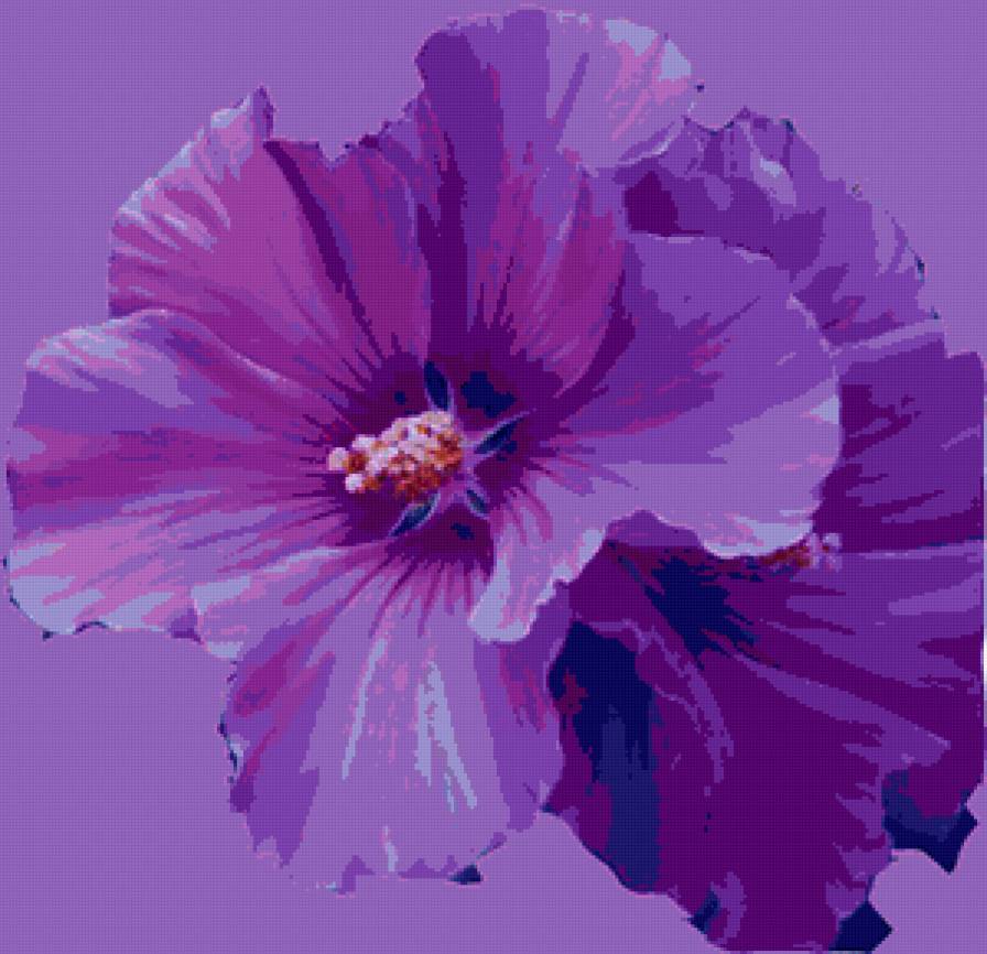 цветок - цветы, цветок - предпросмотр