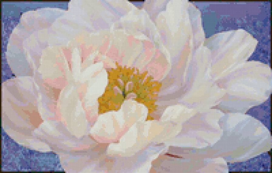 цветок - цветы, цветок - предпросмотр