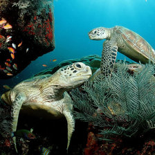 Схема вышивки «морская тематика»