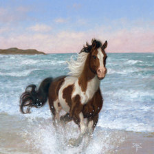 Схема вышивки «Вольная воля»