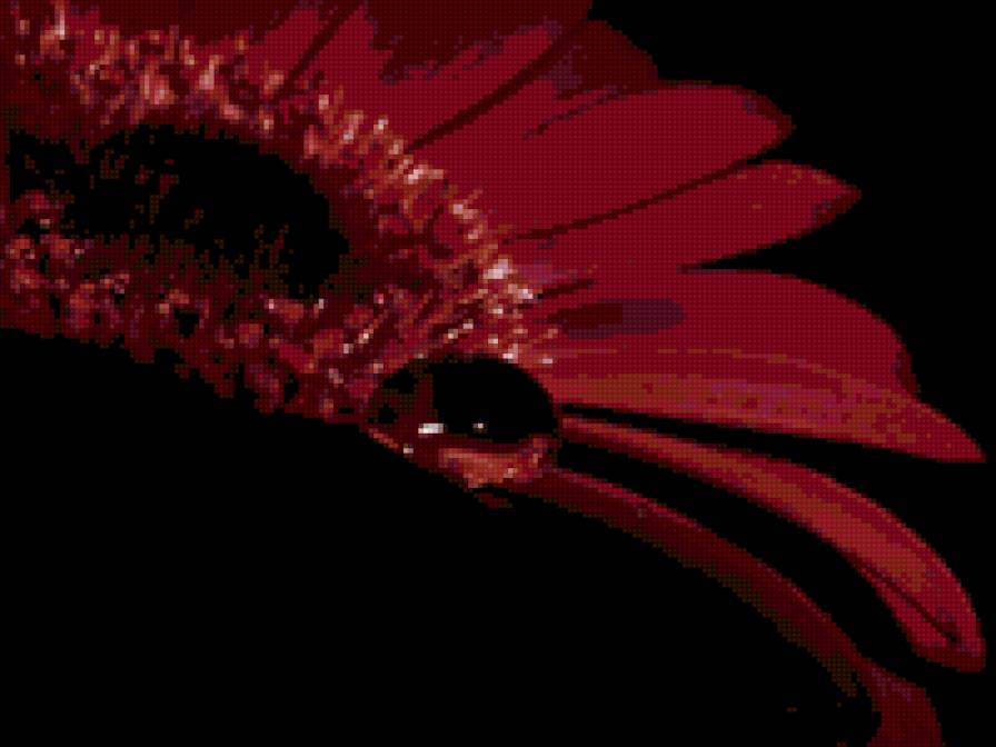 капля росы - цветы - предпросмотр