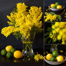 Схема вышивки «желтый натюрморт»