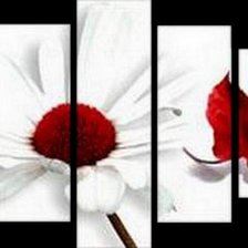 Схема вышивки «ромашка»