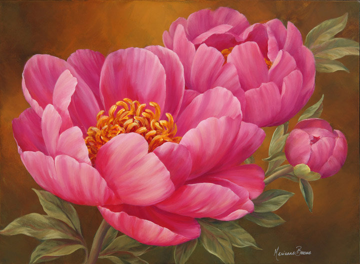 Пионы - цветы - оригинал