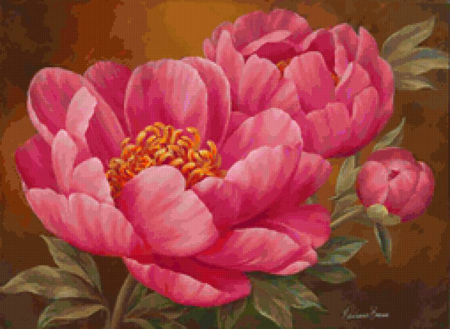 Пионы - цветы - предпросмотр