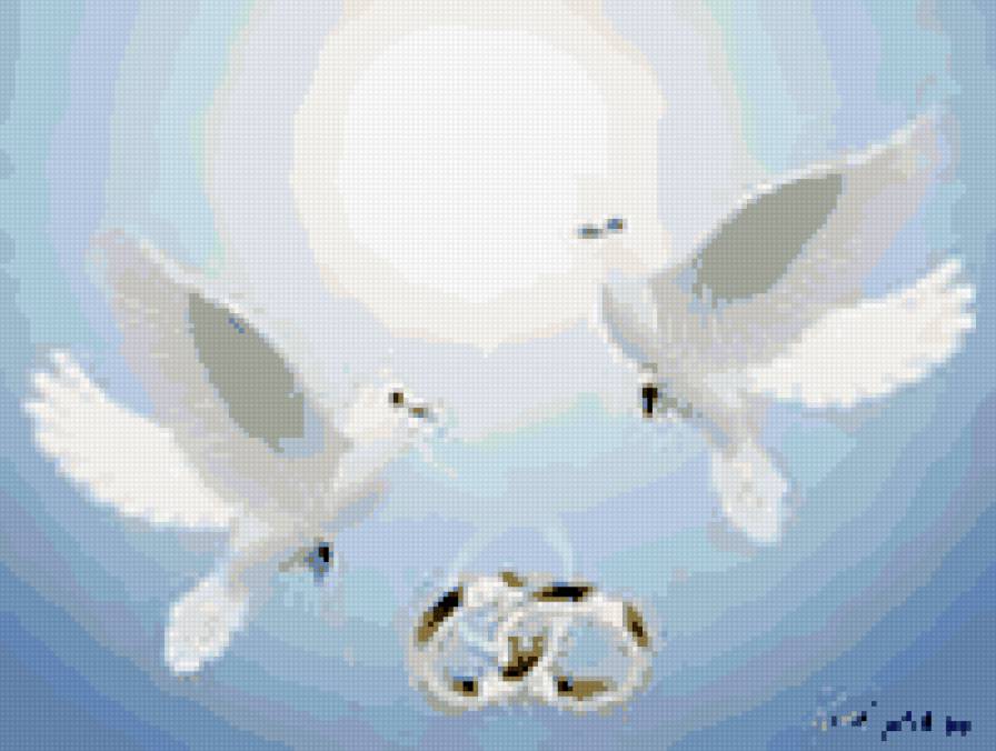 свадебная - свадьба, свадебная, метрика, кольца, голуби - предпросмотр