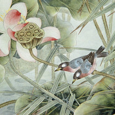 Схема вышивки «Птички»