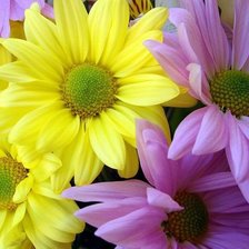 Схема вышивки «№86090»