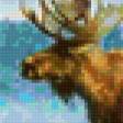 Предпросмотр схемы вышивки «живопись» (№86293)