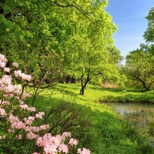 Схема вышивки «№86307»