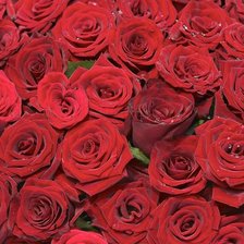 Схема вышивки «№86337»