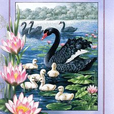 Схема вышивки «черный лебедь»