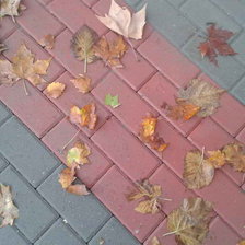 Схема вышивки «listja na trotuare.»