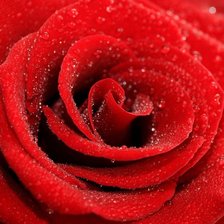 Схема вышивки «№86704»