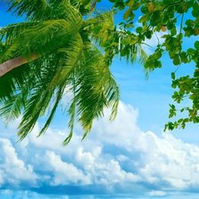 Схема вышивки «№86706»