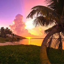 Схема вышивки «№86707»