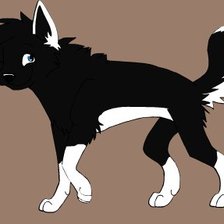 Схема вышивки «Волк»