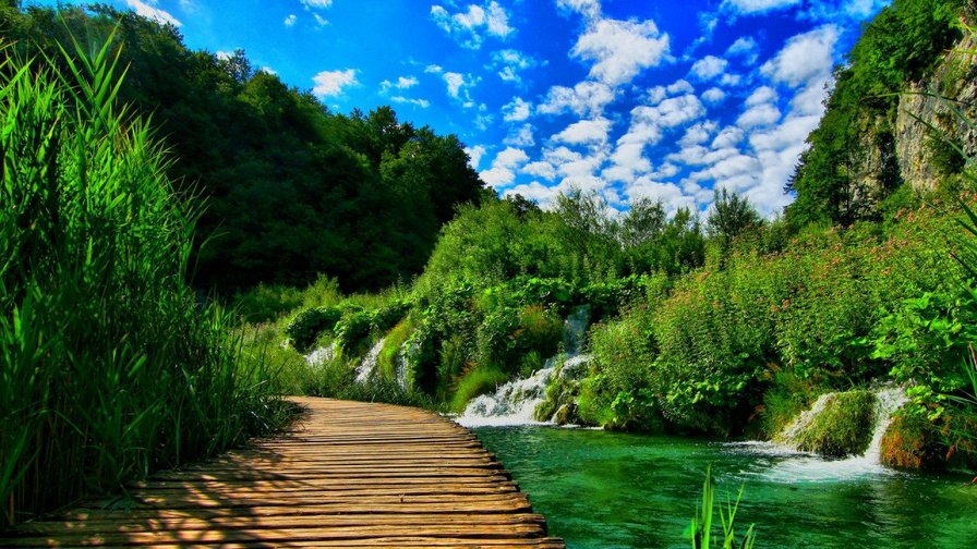 №86748 - природа - оригинал