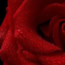 Схема вышивки «№86758»