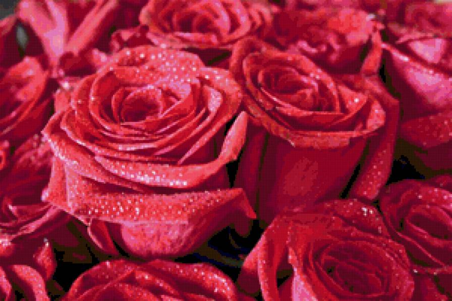 №86778 - цветы - предпросмотр