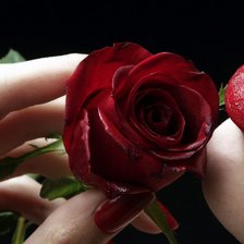 Схема вышивки «№86983»