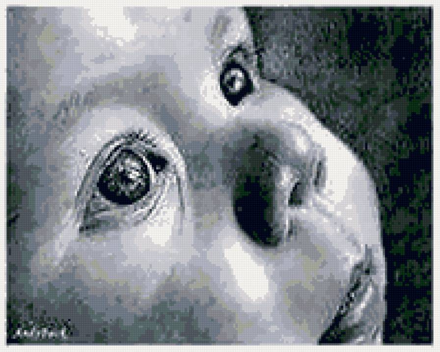 малыш - предпросмотр