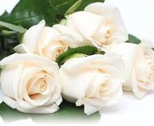 букет из белых роз