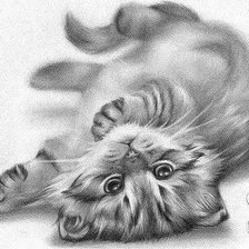 Схема вышивки «котик»