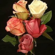 Схема вышивки «563»