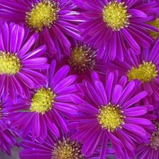 Схема вышивки «№87208»