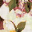 Предпросмотр схемы вышивки «Серия "Букет"» (№87315)