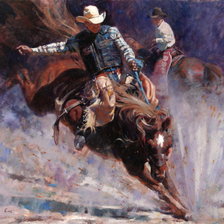 Схема вышивки «Родео»