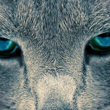 Схема вышивки «кошачий взгляд»