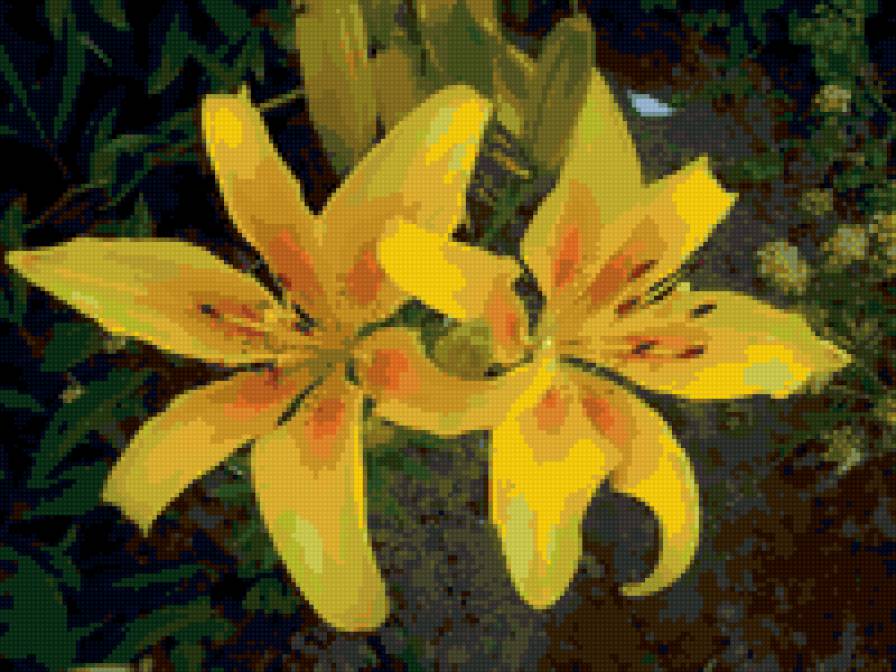 Цвети - предпросмотр